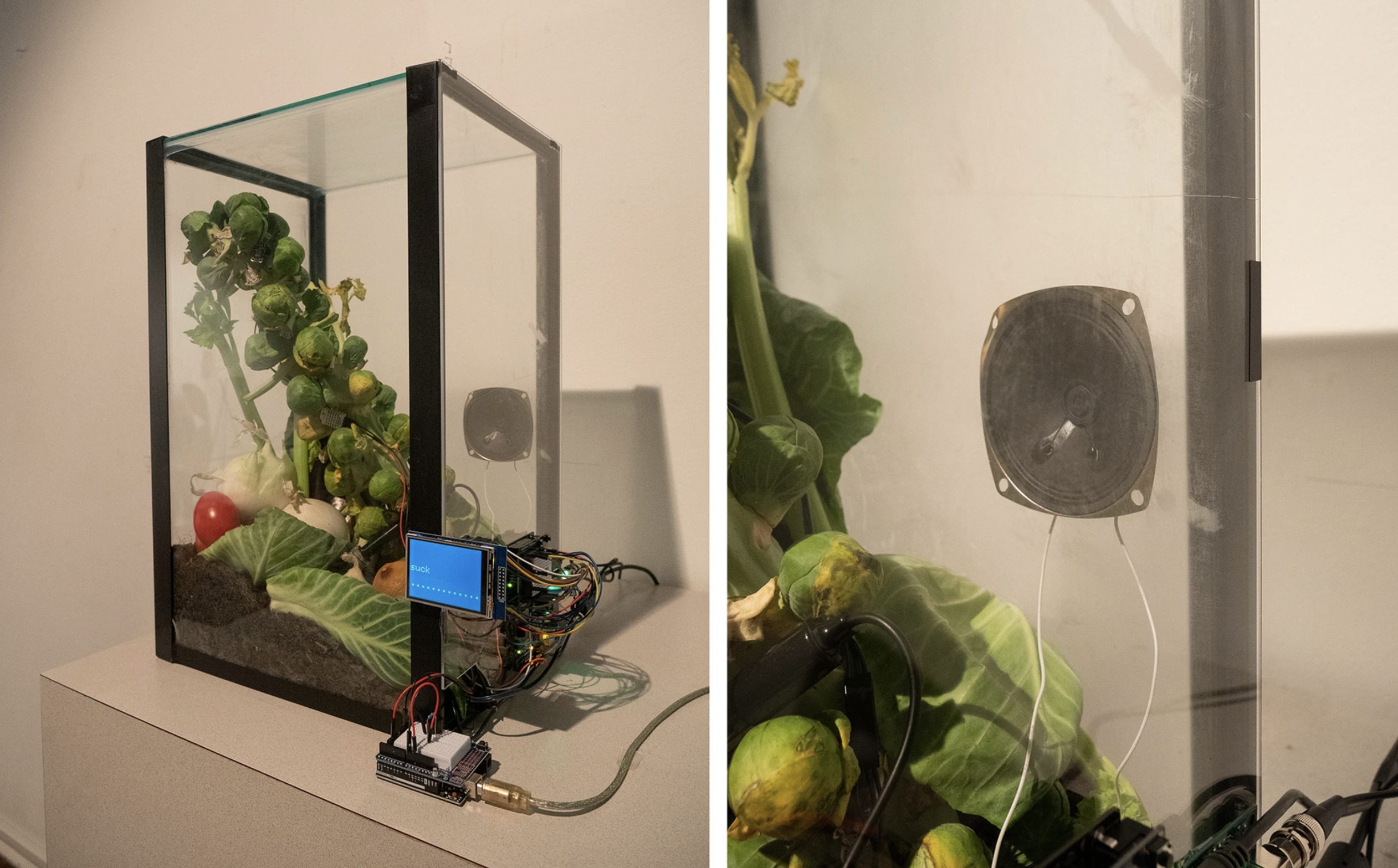 TransCommunication Documentation